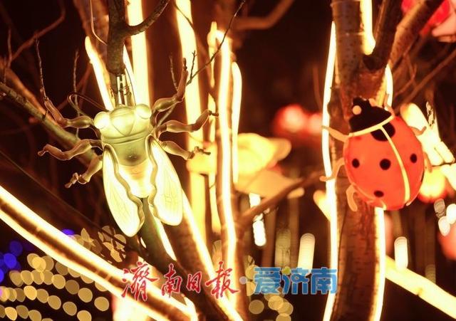 一年四季 泉在济南丨迎春花灯亮化测试，五龙潭公园点亮“花涧秘境”