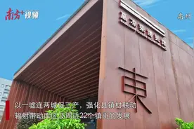 专家点评“打擂台”：曹江镇如何寻农文旅出圈之道？图片