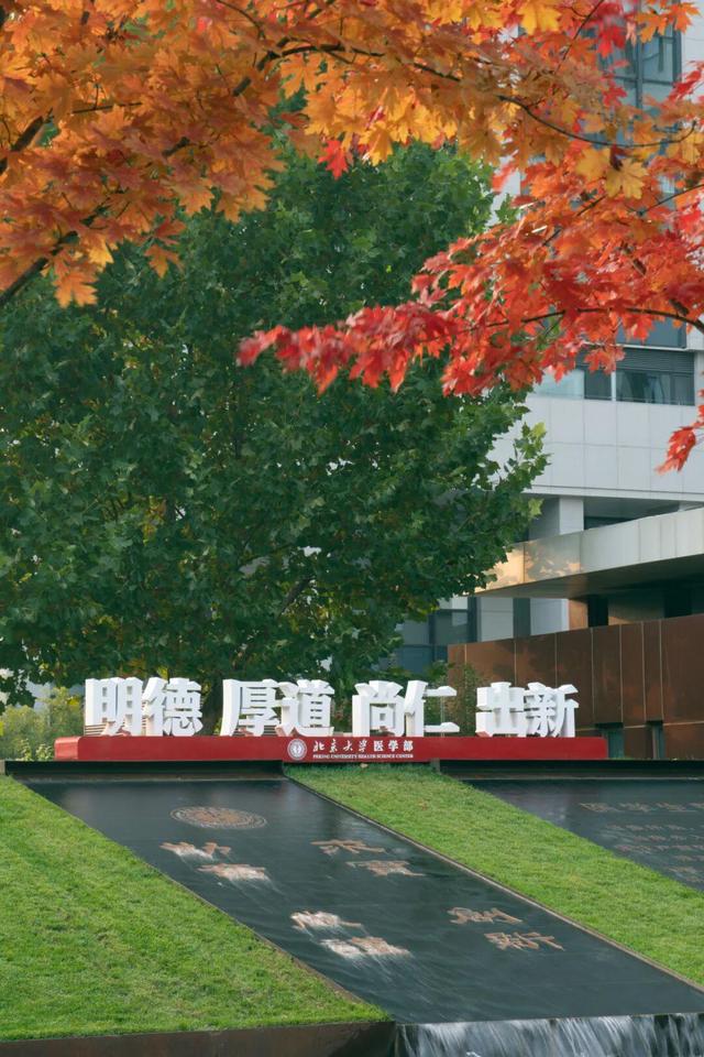 藏不住了！攒了整个秋天的北医美景，立冬前全部分享！