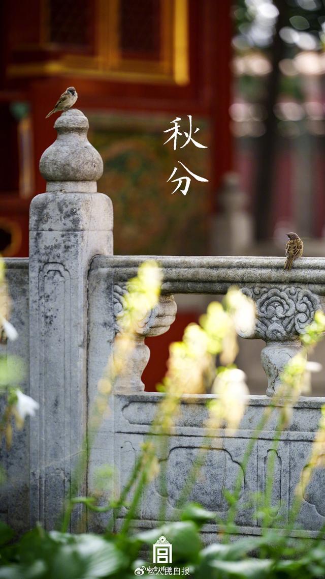 转存收藏！故宫节气图张张都是壁纸