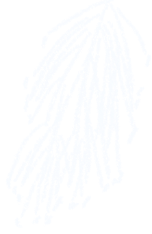 雪假快乐！长春市净月潭景区雪假优惠政策请查收→