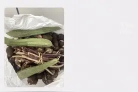 “那个你帮过的老爷爷，又来送菜了……”图片