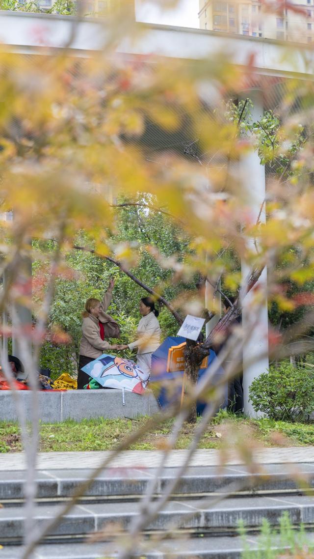 汉广海棠公园：闻着花香与草木气息