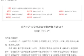 国务院安委会挂牌督办河南平顶山重大煤与瓦斯突出事故查处图片