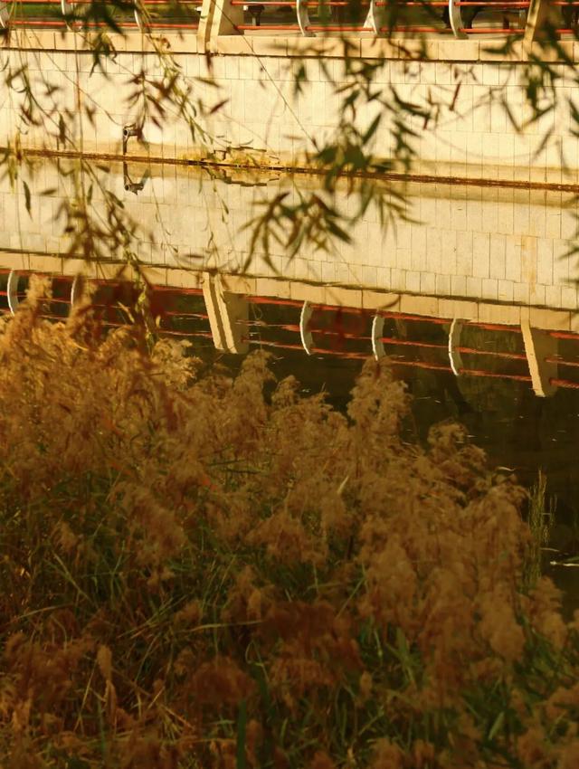 听，呼和浩特秋天的BGM正在你耳边播放