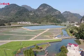 粤桂协作 乡村振兴｜激活乡村产业新业态，加快推进农业农村现代化视频封面