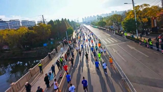 从远方而来，在暖阳里奔跑