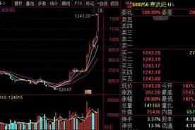 解码两大千元股，寒武纪能产生“茅台效应”吗？图片