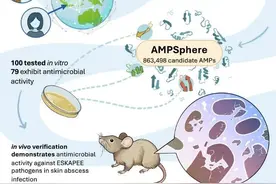 AI for Science！复旦团队从全球微生物组中预测近100万种新型抗菌肽，成果登上《细胞》主刊图片