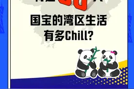 粤港大熊猫“上新”！ 国宝的湾区生活有多Chill?图片