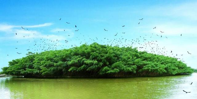 跟着赛事游新会！江门新会打造4条农文旅旅游线路