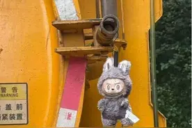 大爷捡到LABUBU随手挂吸粪车被买走：上个主人不爱惜你，我来爱护你图片