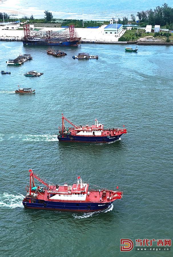 2025北部湾开海节开幕