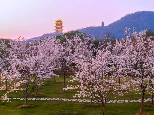 “牛首十景”全球命名征集活动正式启动