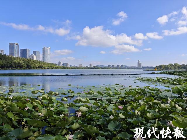 秋天一定要来一趟南京，奶皮子糖葫芦是序章，这些才是正文