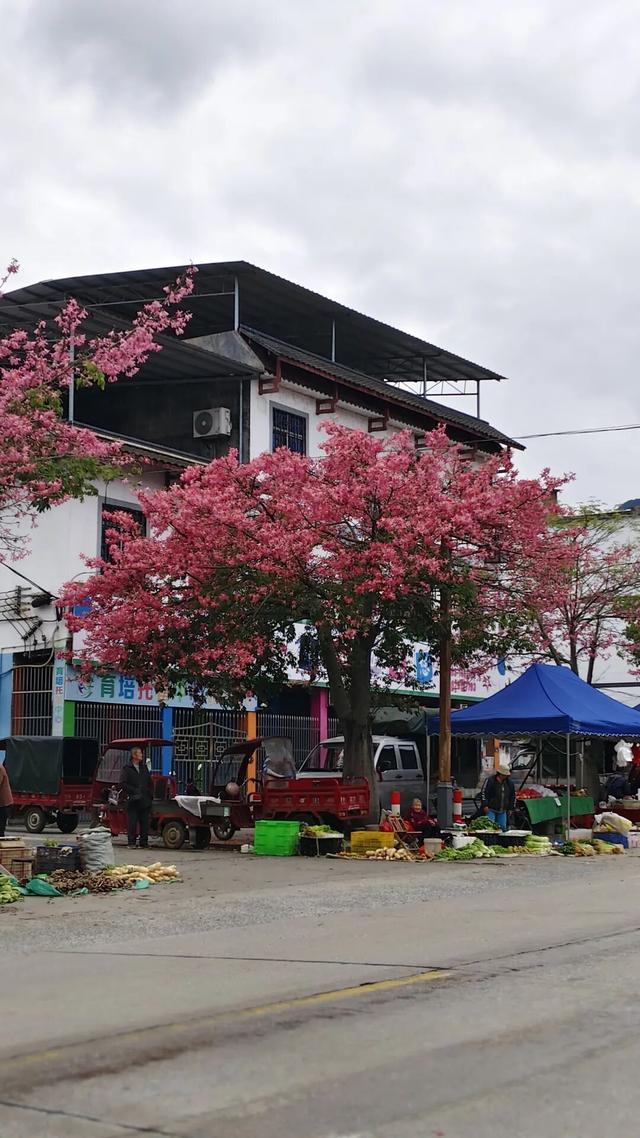 旅行的意义(终）