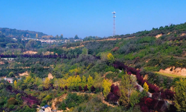 藏在骊山深处的调色盘，每一帧都是绝美风景→