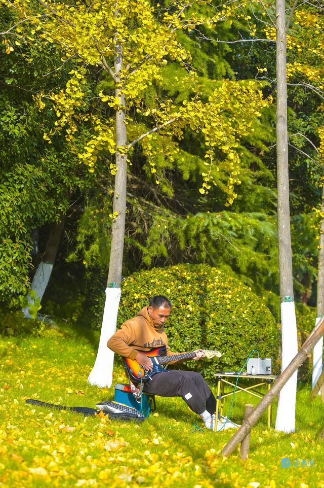 图说丨推窗见绿 四季赏景