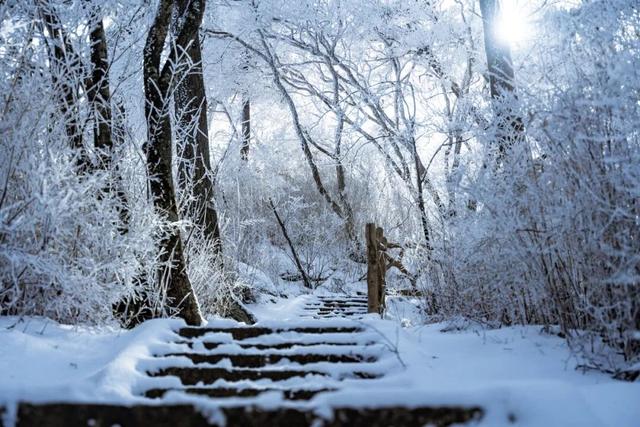 @南方小土豆！白云山免票福利来啦！邀你一起来看雪！