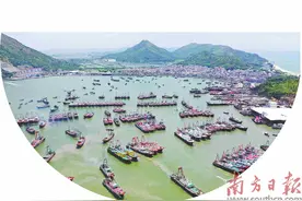 天下海鲜 汕尾领“鲜”图片