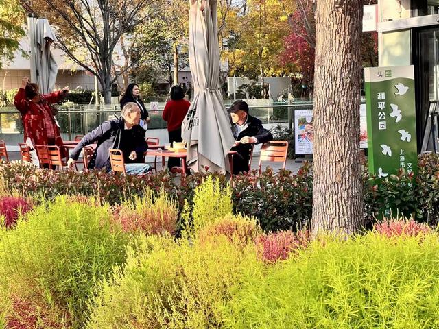 “赏景”变“享景”，情绪价值拉满游园不止“20分钟”