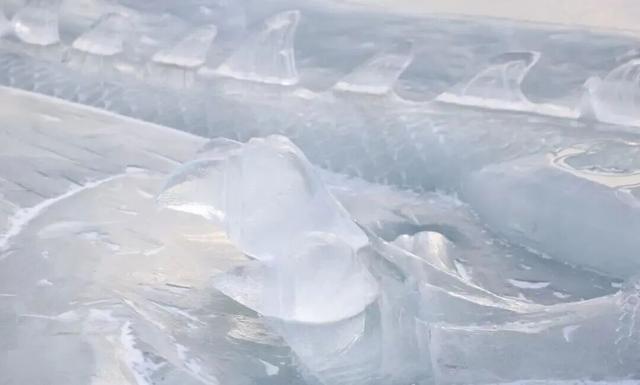 【推荐】南湖公园的冰龙又来啦，今年，还多了冰凤凰