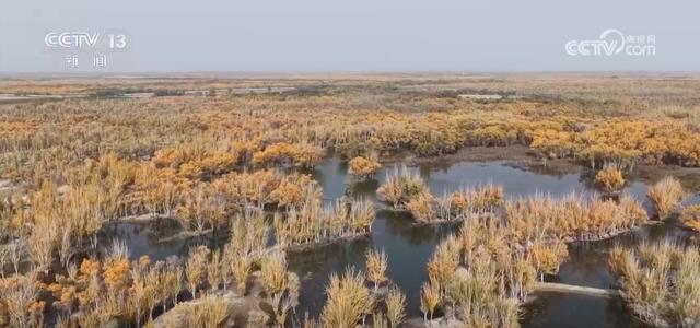 各地迎来秋日“限定版”美景 “文旅+”新场景新业态激发“赏秋经济”活力