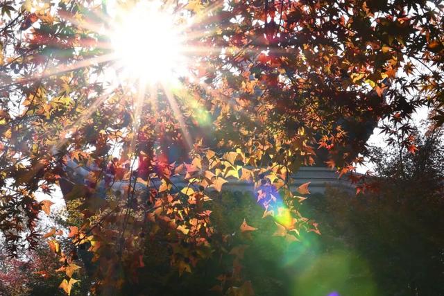 中大路 “红” 了！本周 C 位遛弯地预定！