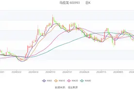 马应龙：2024年上半年净利润3.12亿元 同比增长10.85%图片