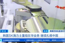 韩国SK海力士重组在华业务，多家韩企表示“中国仍是投资热土”图片