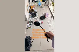 野生猴群闯入大学宿舍捣蛋，走廊垃圾袋被翻一片狼藉，校方回应图片