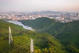 一束光照亮一座城——写在深圳经济特区建立45周年之际图片