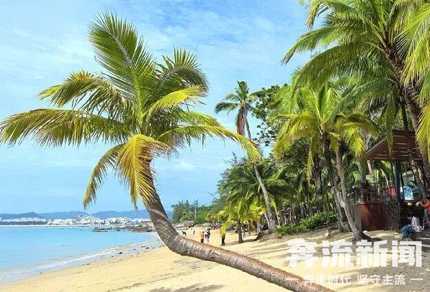 【奔流·浪花】三亚随笔：椰风海韵