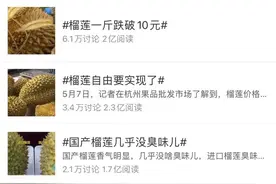 记者走访：国产榴莲身影仍难觅，每斤23.99元的金枕榴莲引抢购｜热财经图片