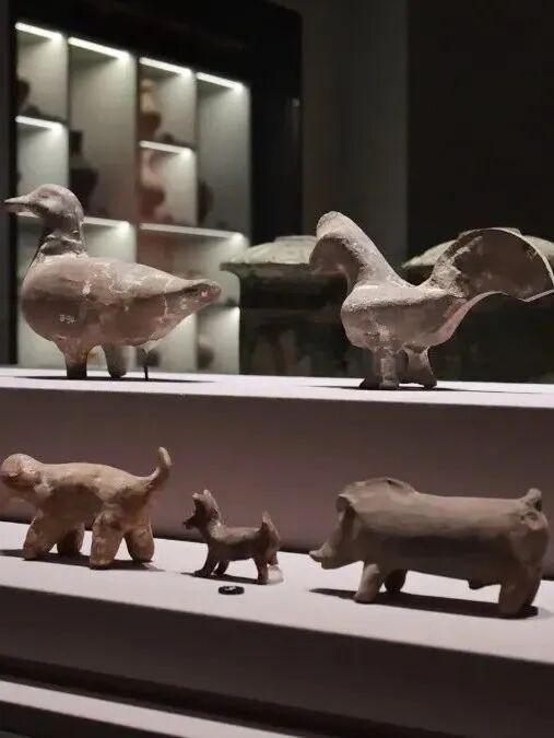 基层亮点丨东平县：文旅融合打造主题旅游线路 绘制“中华民族一家亲，同心共筑中国梦”新画卷