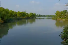 秋色如画，快来九亭打卡踏秋之旅吧图片