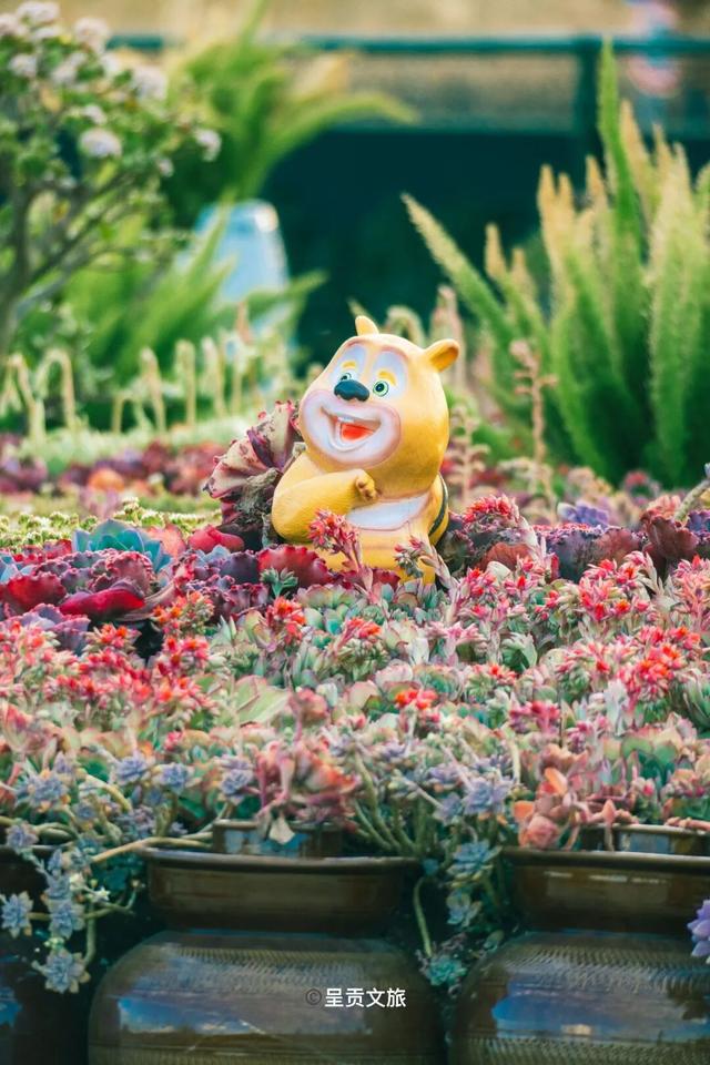 走进斗南七彩花海，看一场春天的盛大绽放