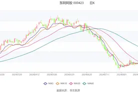 东阿阿胶：2024年上半年净利润7.38亿元 同比增长39.03%图片