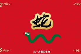 一个短片带你了解“蛇的故事”图片