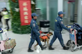 圆满完成任务！重庆市蓝天救援队赴西藏抗震救灾平安归来图片