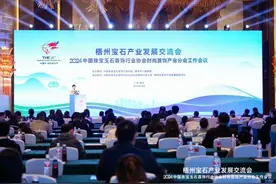 广西梧州宝石产业发展交流会举办图片