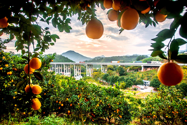 江西的那边是什么？你不用告诉我，我会在秋天自己去看