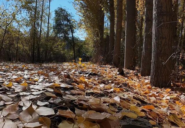 米东区：冰雪仙境免费游！哈熊沟景区的这份安全攻略请收好
