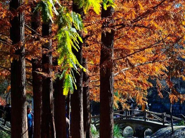 北京号最精彩 | 22.6公顷！海淀再添一座休闲公园