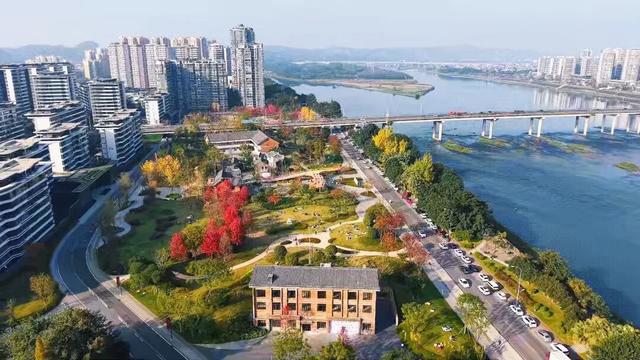 初冬限定！乐山这座公园里藏着一抹 “心动红”，拍照超出片！