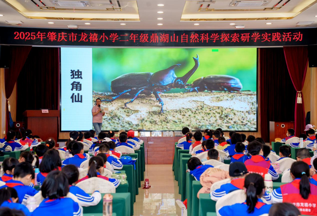 入选省级名单！鼎湖山再添新名片！周末就带娃出发~