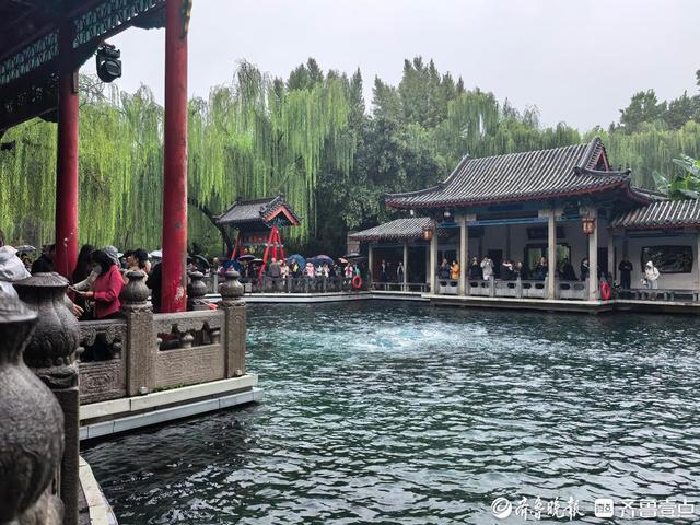 泉水撒欢！济南“泉水游”进入最佳观赏季