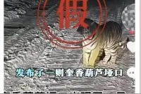 云南一地出现老虎？警方通报图片
