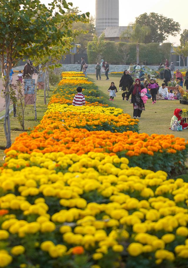 巴基斯坦伊斯兰堡:花团锦簇