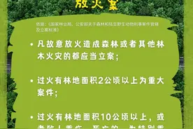 均被判刑！这些森林火灾典型案例教训深刻！图片